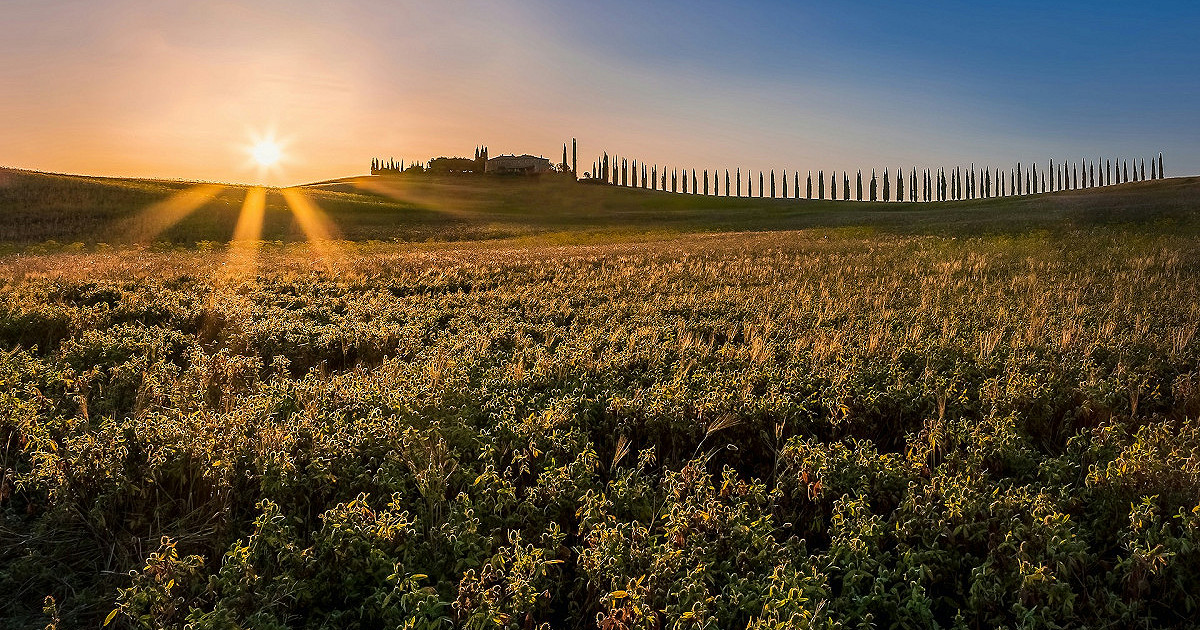 Sončna energija: naložbena strategija prihodnosti?